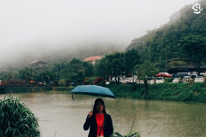 obf77fd7c20d8c808cf4511252ef0_11