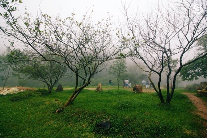 obf77fd7c20d8c808cf4511252ef0_19