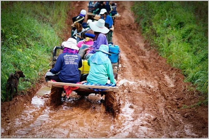 14908282_1014598512018622_196