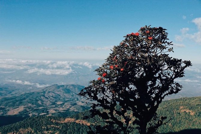 19875359_1967944699897782_358