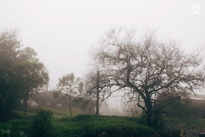 obf77fd7c20d8c808cf4511252ef0