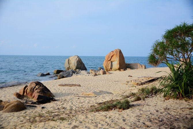2_resize