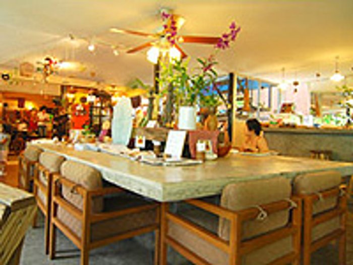 Chico Interior Product & Cafe