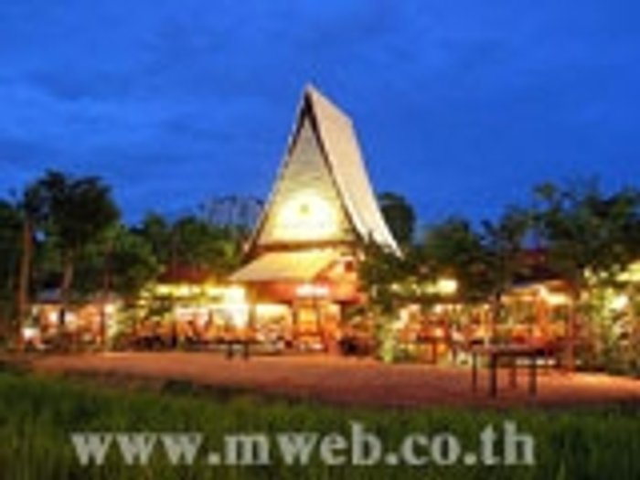 ทุ่งข้าวกลางกรุงกับสวนกาแฟใหญ่ที่สุดในโลก....บ้านใร่กาแฟ