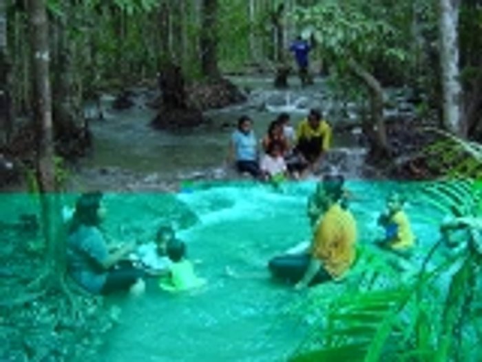 ล่องเรือดูนกน้ำที่ทะเลน้อย-พัทลุง แวะชิมหมูย่างเมืองตรัง