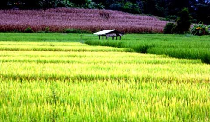 ไปทดยิ้ม(ด้วยกัน) ที่เมืองแจ่ม