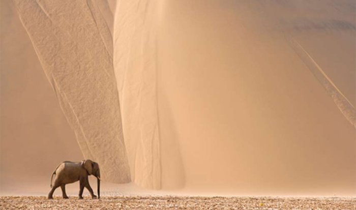 Thorsten Milse ช่างภาพสัตว์ป่า และธรรมชาติ