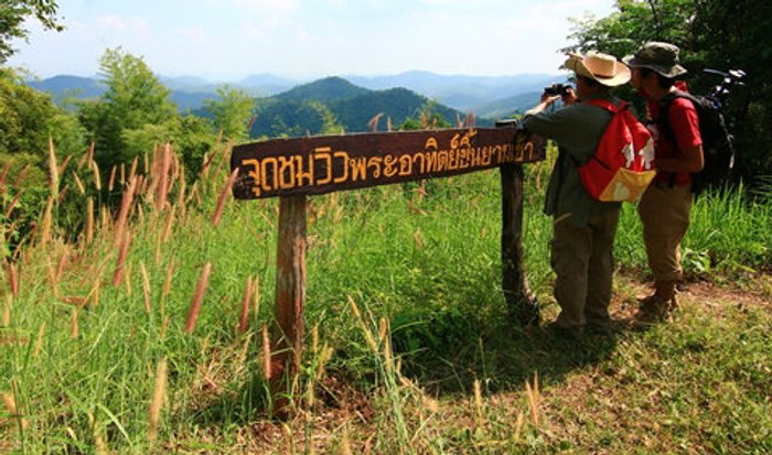 เที่ยวพุเตย เชยชมสนสองใบหนึ่งเดียวในภาคกลาง