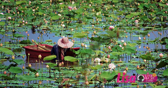 พุทธมณฑล…นั่งรถเดี๋ยวเดียวก็เที่ยวเพลิน