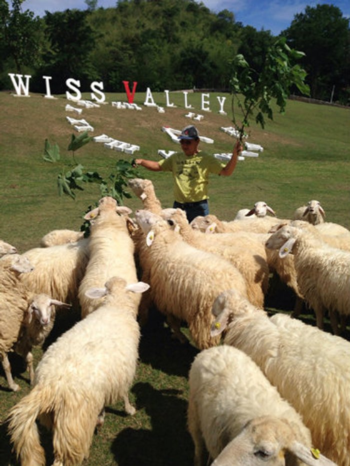 ท่องเที่ยวสไตล์พิศาลชวนพักที่สวนผึ้ง Swiss Valley Hip Resort