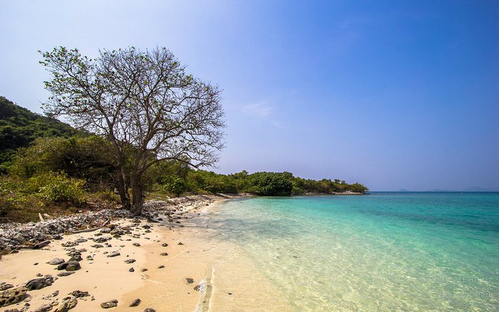 อุทยานใต้ทะเล "เกาะขาม" สัตหีบ KOHKHAM