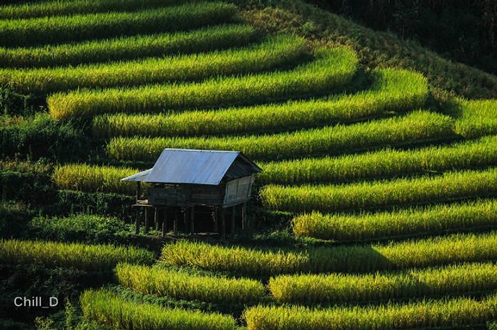 7 ที่เที่ยวหน้าฝน ในเมืองไทย ไปเที่ยวแล้วฟินมากๆ