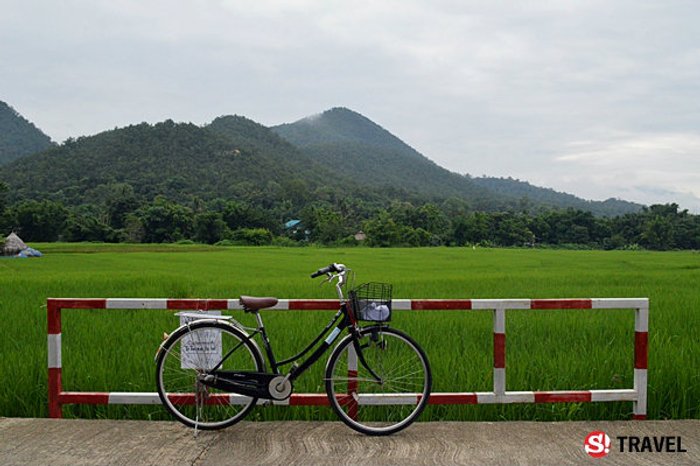 ขี่จักรยาน..หน้าฝน..กลางทุ่งนา หลงเสน่ห์ "เมืองปาย" แบบไม่รู้ตัว