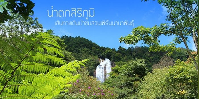 น้ำตกสิริภูมิ เส้นทางเดินป่าชมสวนเฟิร์นนานาพันธุ์
