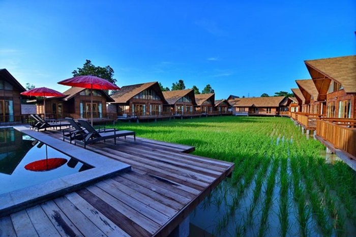 " 8 ที่พัก..กลางทุ่งนา " สูดอากาศชั้นดี