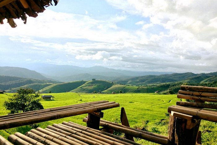 เตรียมตัวเที่ยวหน้าฝน..ลุย 'ป่าปงเปียง' แม่กลางหลวง จ.เชียงใหม่