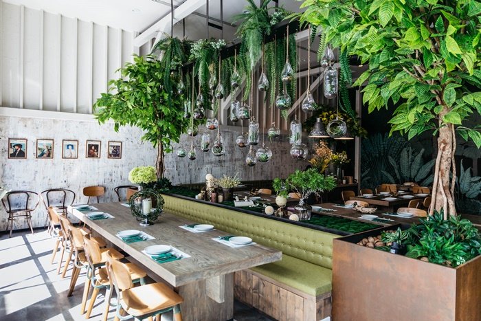 หนีความวุ่นวายมาทานข้าวในร้านสวยสุดร่มรื่นที่ร้าน GISMO