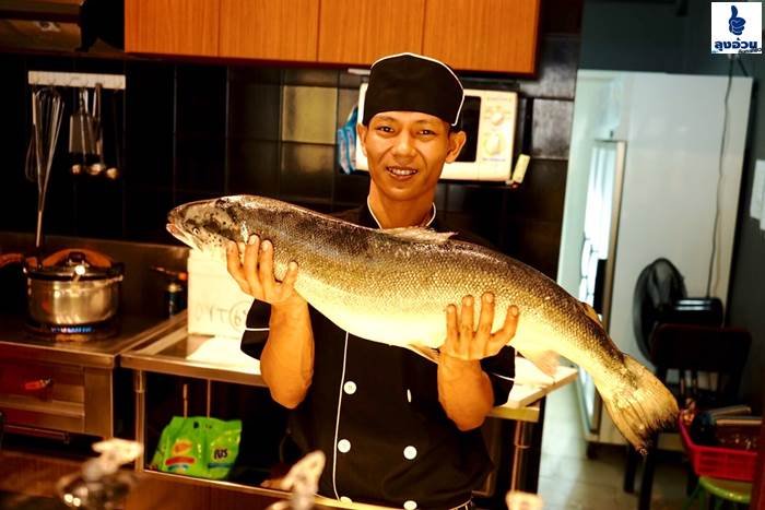 วันนี้มาทางอาหารญี่ปุนกับร้าน MAKOTO SUSHI