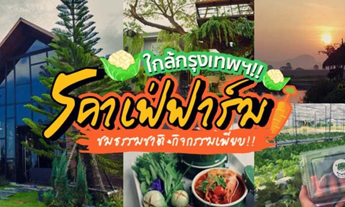รวม 5 ร้านคาเฟ่ฟาร์ม เที่ยวชมธรรมชาติใกล้กรุงเทพฯ