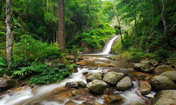 Ã Â¸ÂœÃ Â¸Â¥Ã Â¸ÂÃ Â¸Â²Ã Â¸Â£Ã Â¸Â„Ã Â¹Â‰Ã Â¸Â™Ã Â¸Â«Ã Â¸Â²Ã Â¸Â£Ã Â¸Â¹Ã Â¸Â›Ã Â¸Â Ã Â¸Â²Ã Â¸ÂžÃ Â¸ÂªÃ Â¸Â³Ã Â¸Â«Ã Â¸Â£Ã Â¸Â±Ã Â¸Âš Ã Â¸Â­Ã Â¸Â¸Ã Â¸Â—Ã Â¸Â¢Ã Â¸Â²Ã Â¸Â™Ã Â¹ÂÃ Â¸ÂˆÃ Â¹Â‰Ã Â¸Â‹Ã Â¹Â‰Ã Â¸Â­Ã Â¸Â™