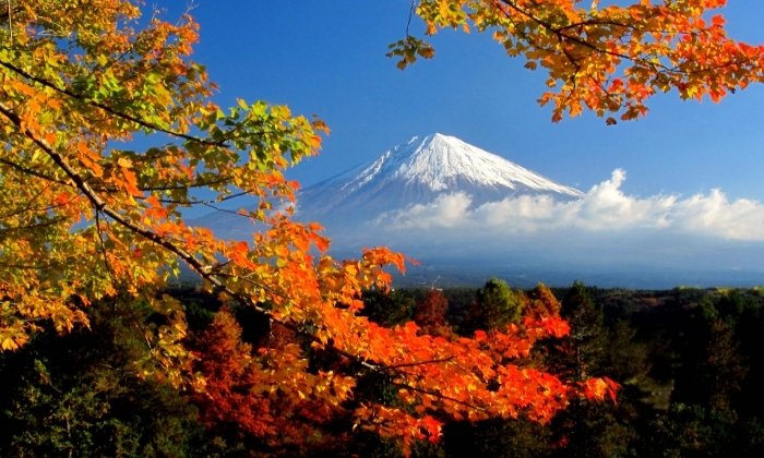 จุดชมวิวใบไม้เปลี่ยนสี สวยติดอันดับใกล้นาโกย่า