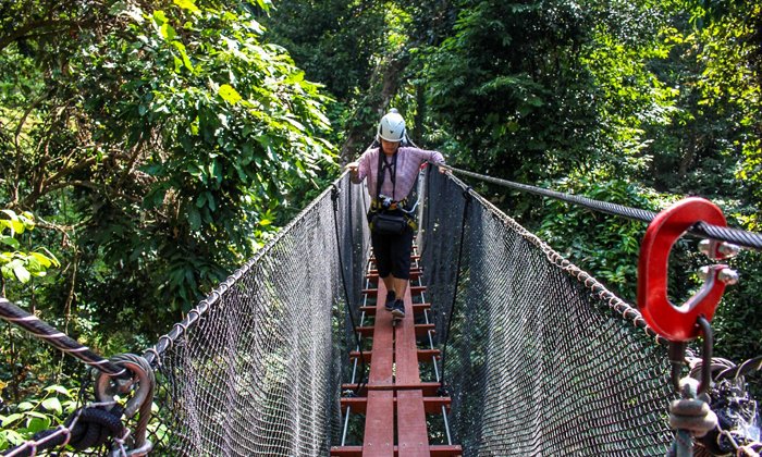 รีวิว DoiTung Tree Top Walk ท้าทายความกล้าบนทางเดินสกายวอล์คสูง 40 เมตร!!!