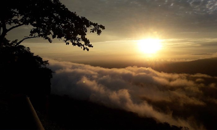 ผลการค้นหารูปภาพสำหรับ ผามออีแดง