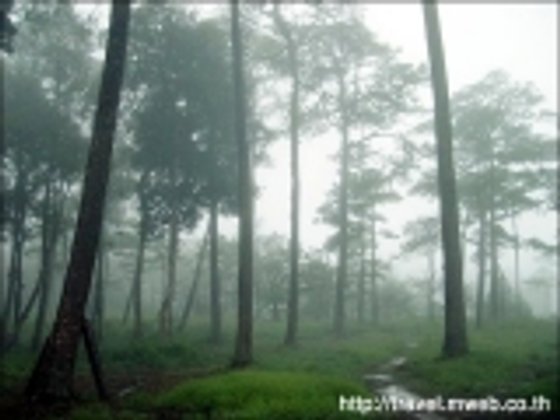 ภูสอยดาว (ตอนแรก)