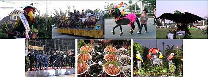 มหกรรมหุ่นฟางนกและงานกาชาด จ.ชัยนาท 2554
