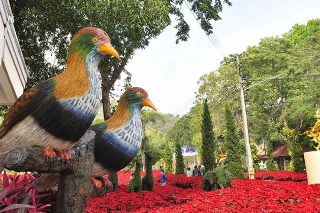 สวนนกชัยนาท