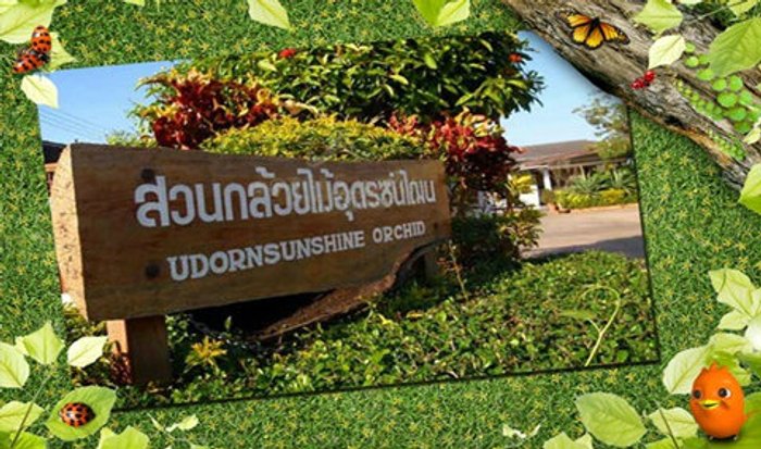 สวนกล้วยไม้หอมอุดรซันไฌน์ เสน่ห์แห่งมวลดอกไม้