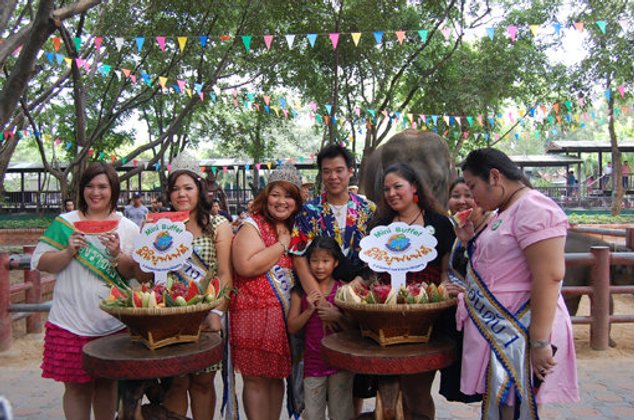 เชิญร่วมงานประเพณีเลี้ยงบุฟเฟ่ต์ช้าง