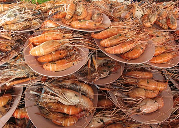 เทศกาลกินกุ้ง กินปลา เจ้าพระยาชัยนาท