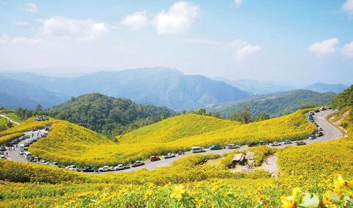5 เส้นทางขับรถเที่ยวที่สวยที่สุดในเมืองไทย