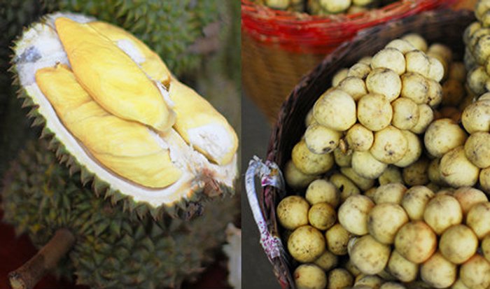 นั่งรถราง ชมเมืองลับแล
