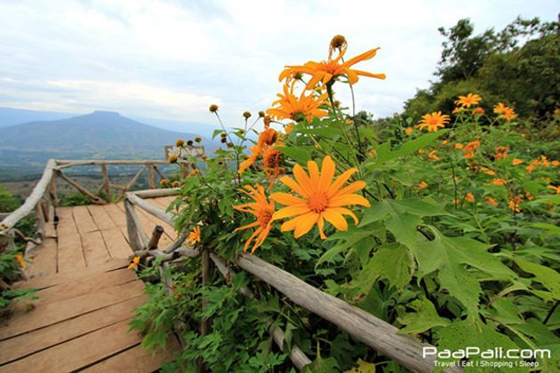 “ภูป่าเปาะ” ฟูจิเมืองไทยที่เที่ยวแห่งใหม่