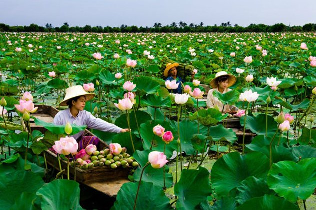 แลล่องท่องสายน้ำ ดื่มด่ำความหรรษากลางนาบัว