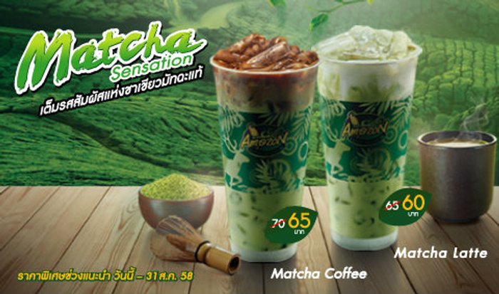 Matcha Sensation เต็มรสสัมผัสแห่งชาเขียวมัทฉะแท้ ที่คาเฟ่ อเมซอน