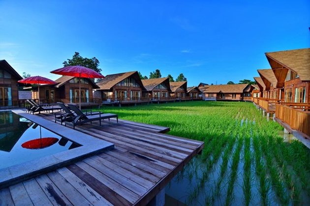 " 8 ที่พัก..กลางทุ่งนา " สูดอากาศชั้นดี