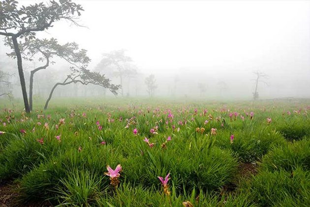 7 สิ่งมหัศจรรย์..ความงดงามแห่งภาคอีสาน