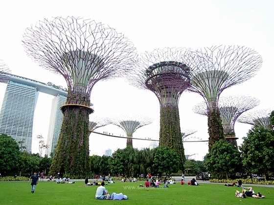 เที่ยวสิงคโปร์ เดิน Garden แบบคนรักธรรมชาติต้องไปให้ถึง