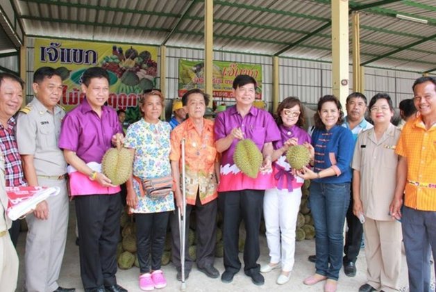 เทศกาลผลไม้และของดีจังหวัดระยอง ประจำปี 2559