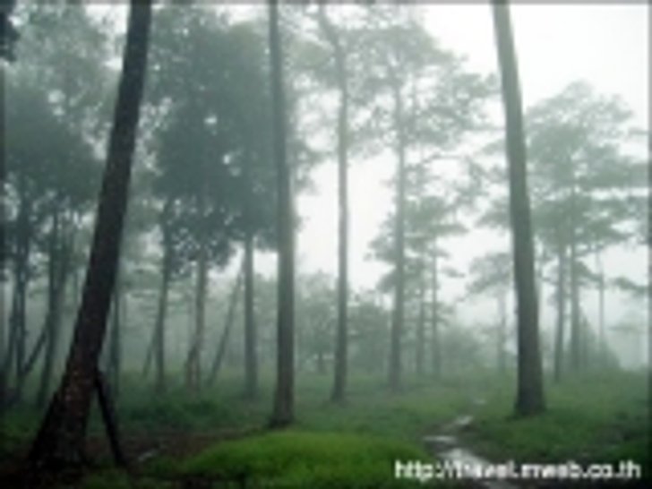 ภูสอยดาว (ตอนแรก)