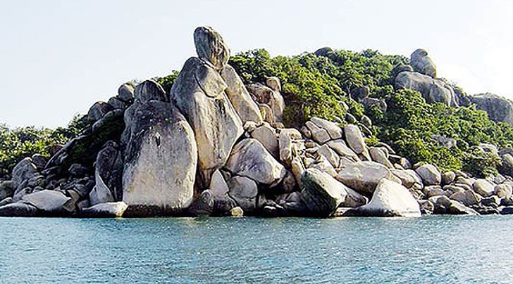 สุราษฏร์ธานี