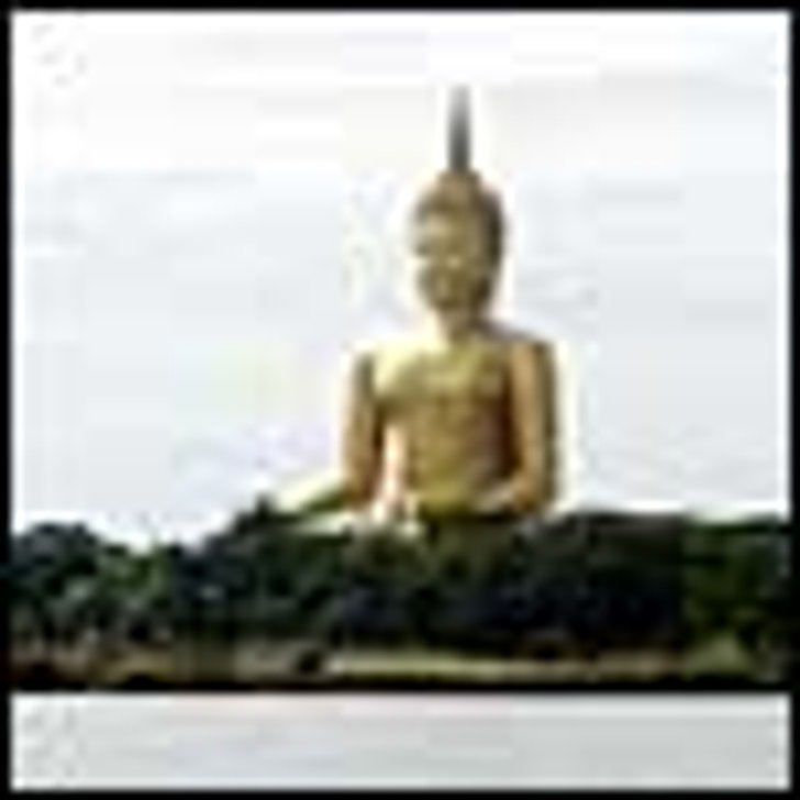 วัดม่วง