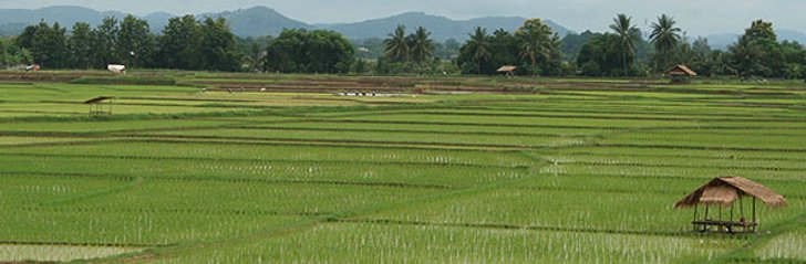 สุพรรณบุรี