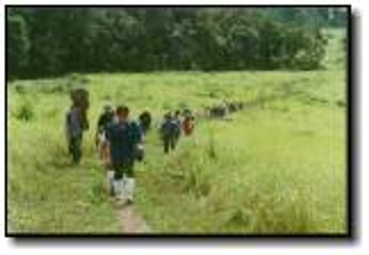 อุทยานแห่งชาติเขาใหญ่