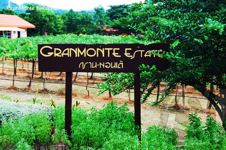 เปิดไร่องุ่นกรานต์มอนเต้ (Granmonte') กับ นิคกี้-วิสุตา โลหิตนาวี
