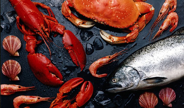 เทศกาลกินกุ้งกินปลาอาหารบางปลาม้ารสเด็ด ครั้งที่ 4