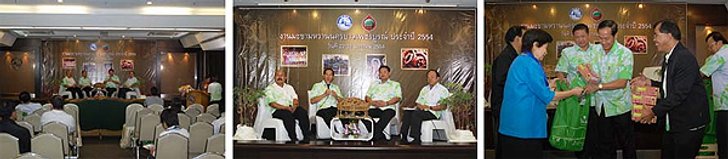 งานมะขามหวาน นครบาลเพชรบูรณ์ ปี 2554
